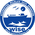 wise_logo.gif